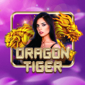 Play Dragon Tiger live casino on Nusta